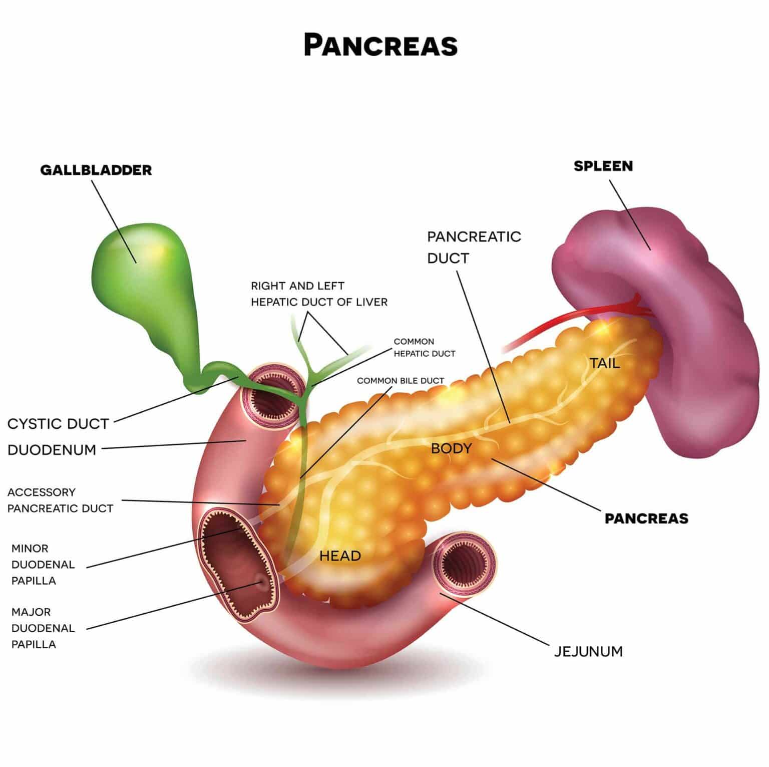 33+ Back Pain And Pancreatic Cancer Symptoms Pics