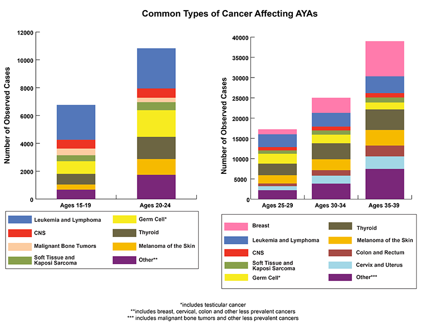 A Snapshot of Adolescent and Young Adult Cancers