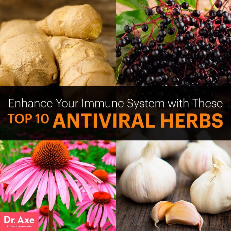 Antiviral Herbs Boost Immune System &  Fight Infection