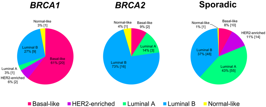 Association between hereditary breast cancers and molecular ...