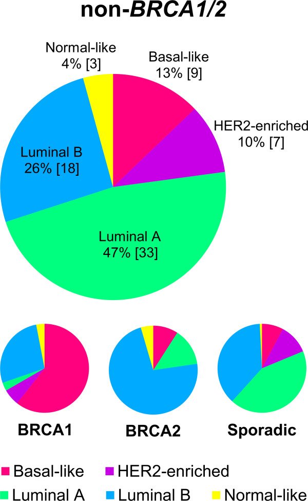 Association between hereditary breast cancers and ...