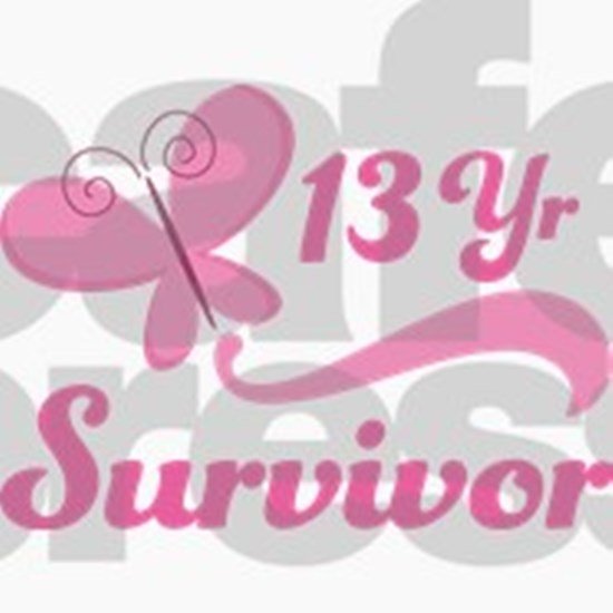 Breast Cancer 13 Year Survivor 16 oz Stainless Steel ...