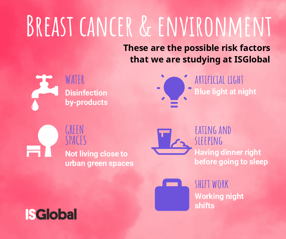 Breast Cancer and Environmental Factors. What Does Science Tell Us ...