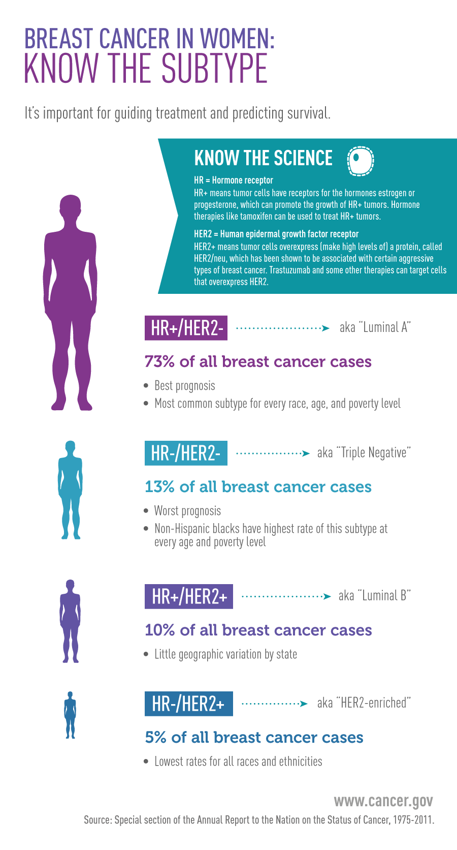 Breast Cancer In Women