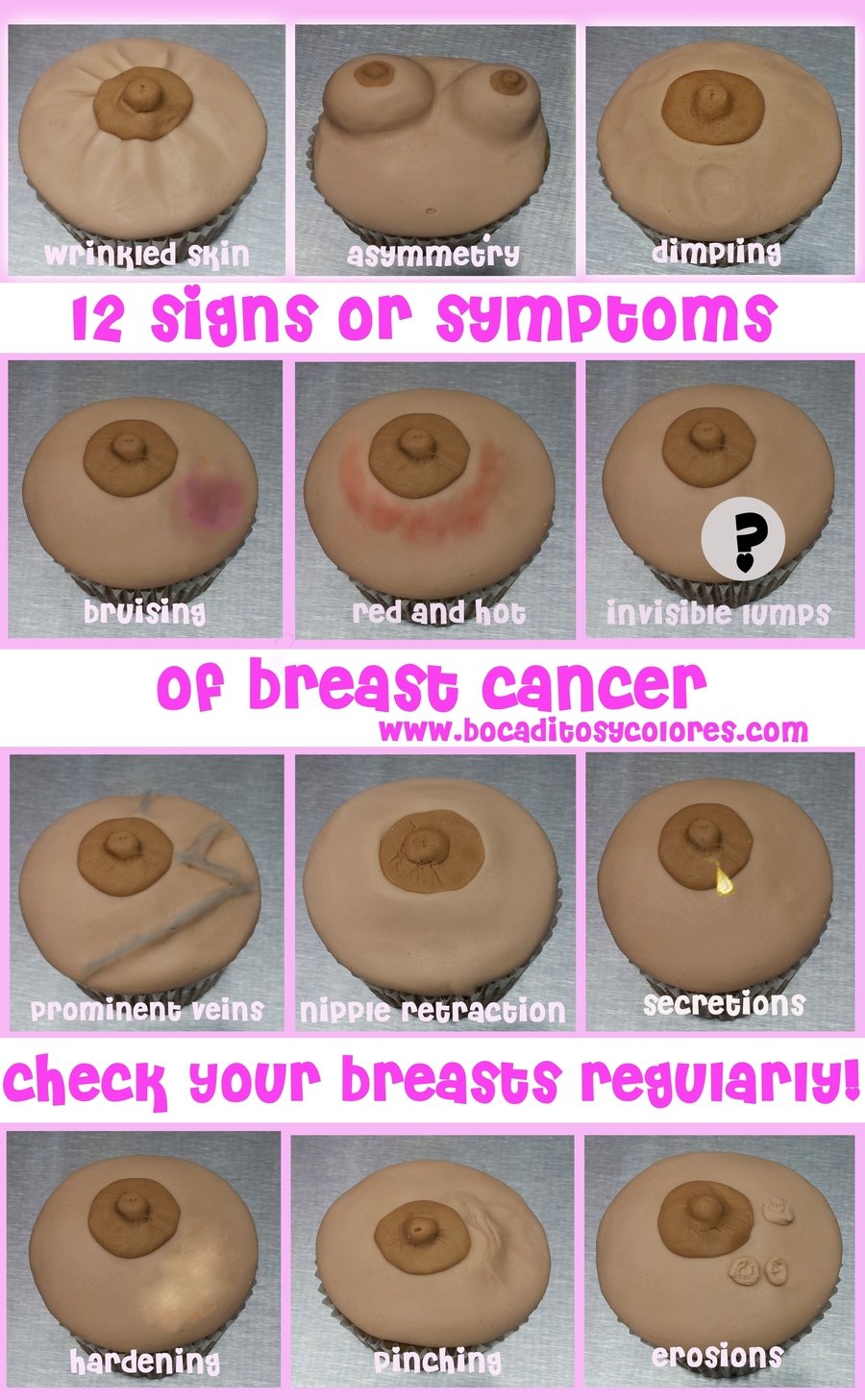 Breast Cancer Signs Cupcakes