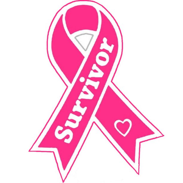 Breast Cancer Survivor Pink Ribbon Decorative Car Truck ...