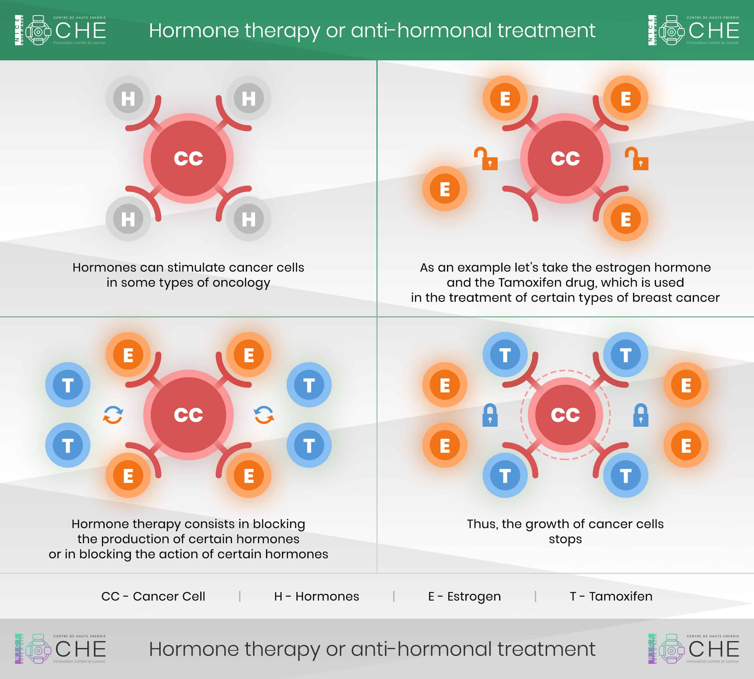 Cancer drug hormone therapy