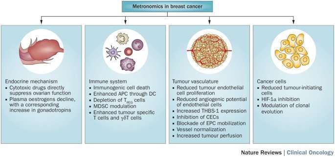 Clinical overview of metronomic chemotherapy in breast ...