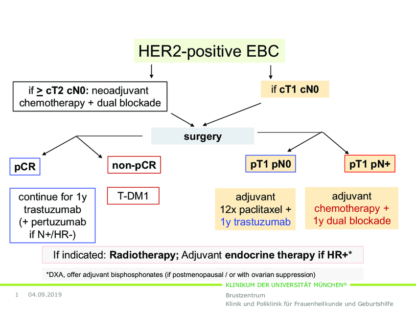 Current treatment algorithm for HER2+ early breast cancer ...