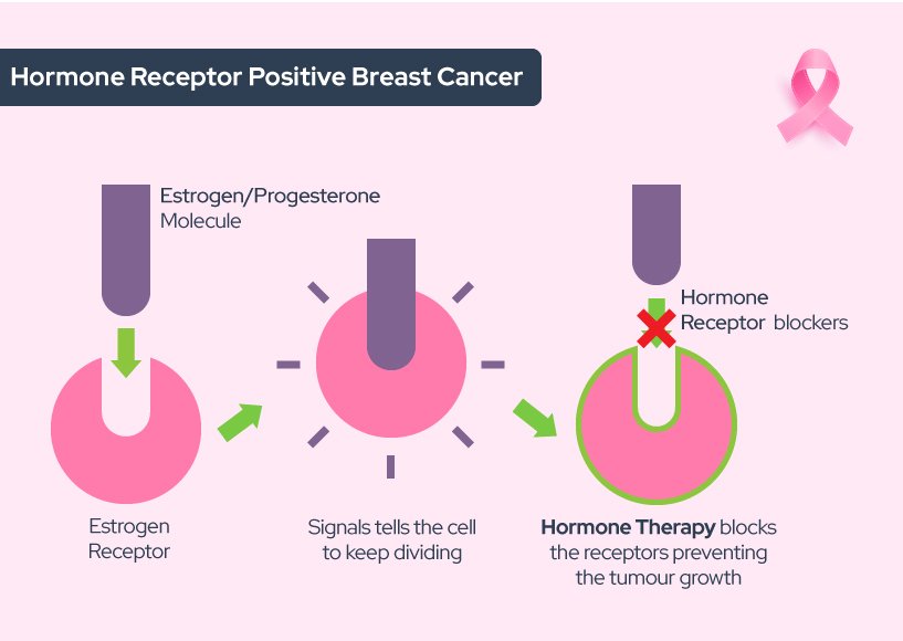 Demystifying Breast Cancer and its Treatment