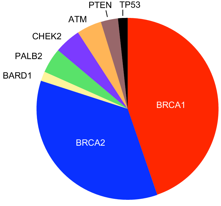 Eight genes with mutations in African American breast ...