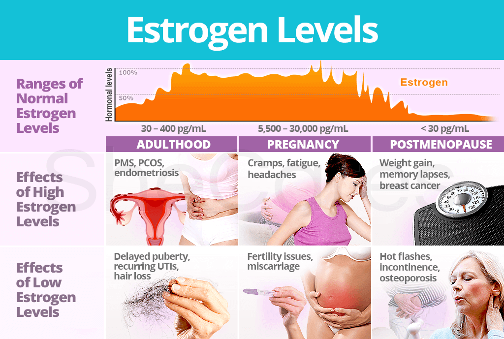 Estrogen levels are constantly fluctuating throughout a ...