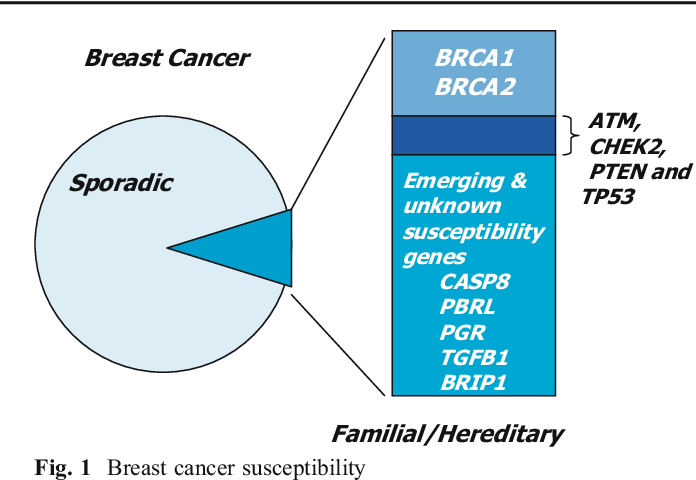 Figure 1 from Genetic susceptibility to breast cancer ...