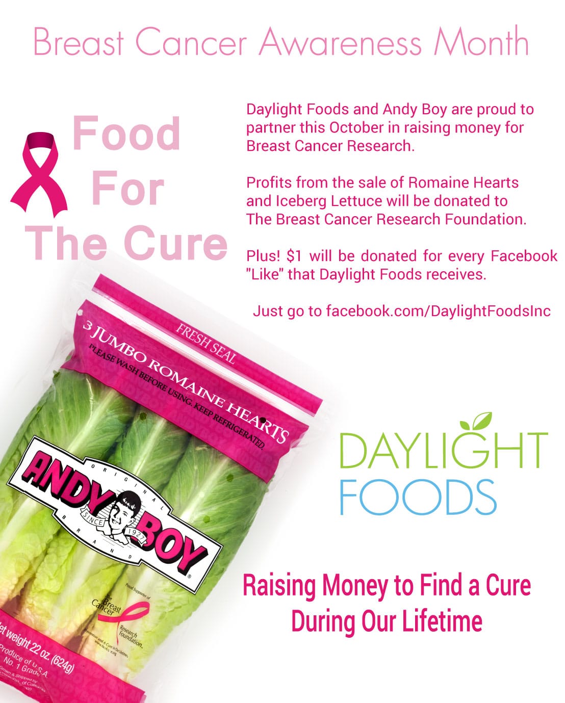 Food for the Cure: Daylight Foods Helps Raise Money for Breast Cancer ...