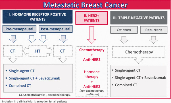 General treatment regimens for metastatic breast cancer ...