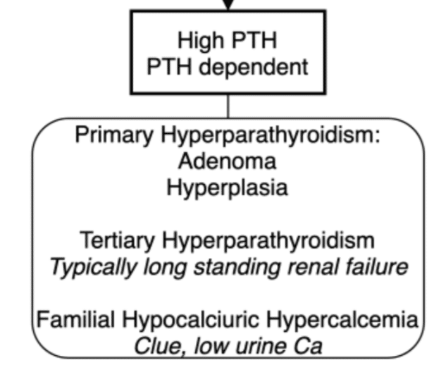 Handout from our Endocrinology episode, " Episode 33: Hypercalcemia ...