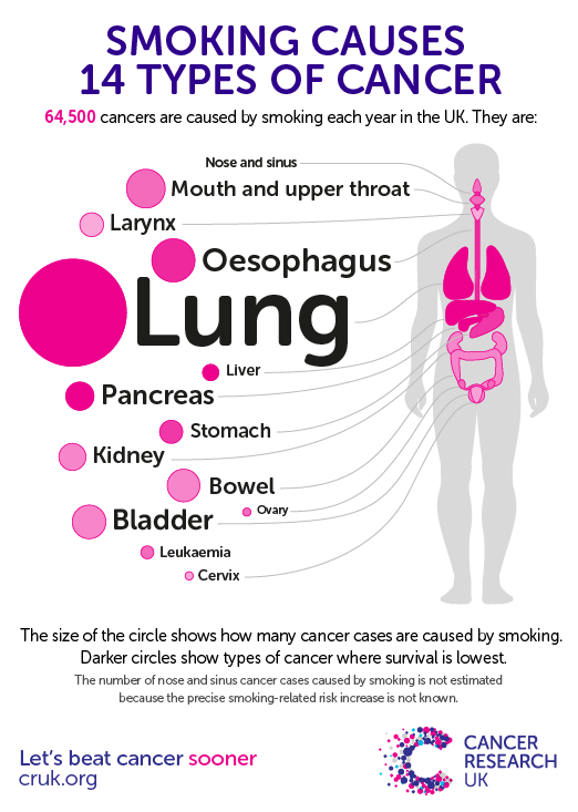 How many cigarettes per day on an average can cause cancer ...