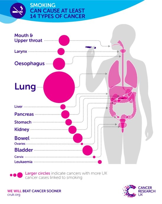 How smoking causes cancer  mylittlebreathingspace ...