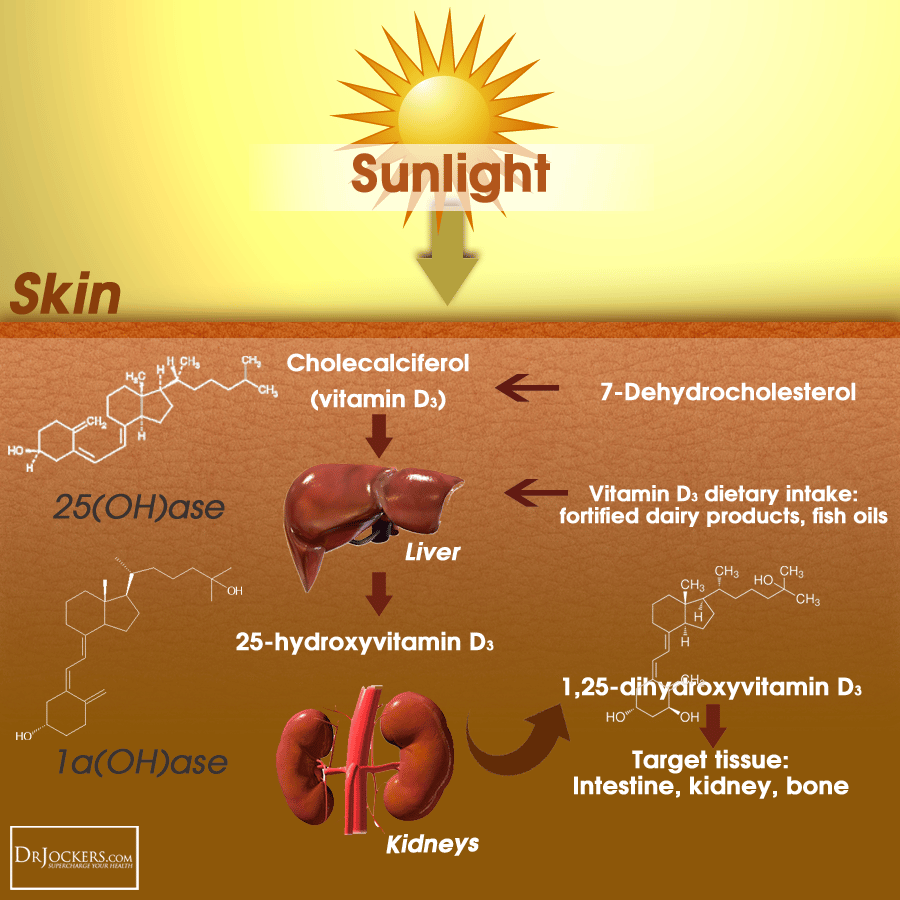 Sun vitamin. Витамин d. Витамин д how. Витамин д солнце. Витамин д зимой.