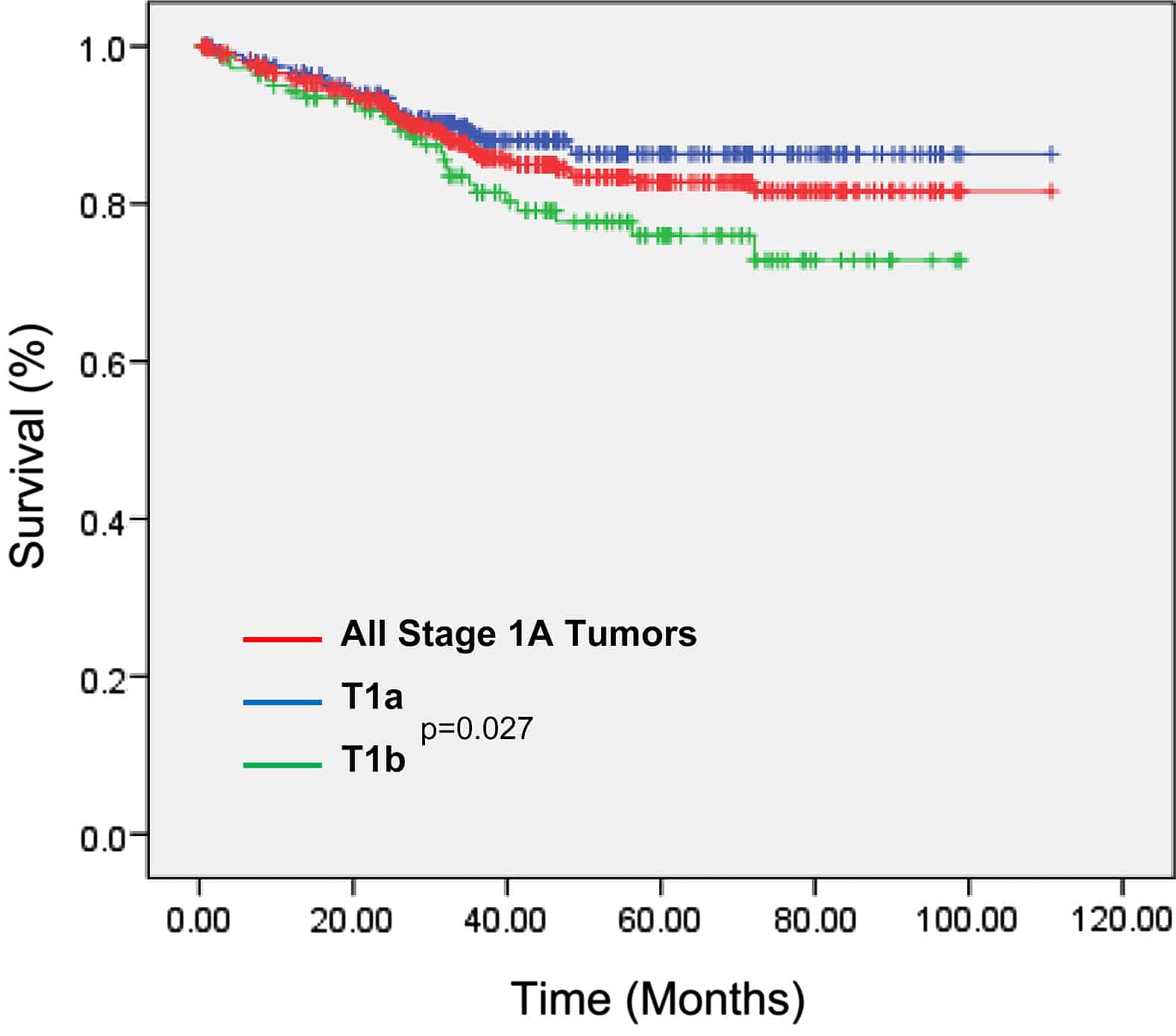 Impact of tumor size on outcomes after anatomic lung resection for ...