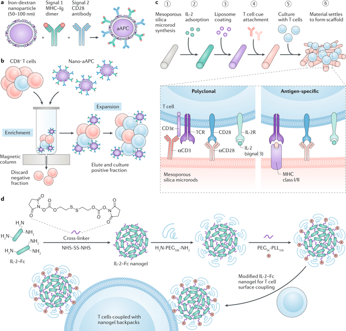 Improving cancer immunotherapy through nanotechnology.,Nature Reviews ...