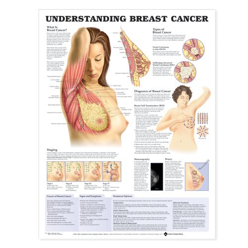 Possible causes of breast cancer and age groups it can ...