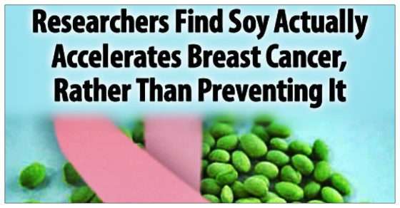 Scientists Discover Soy Actually Accelerates Breast Cancer