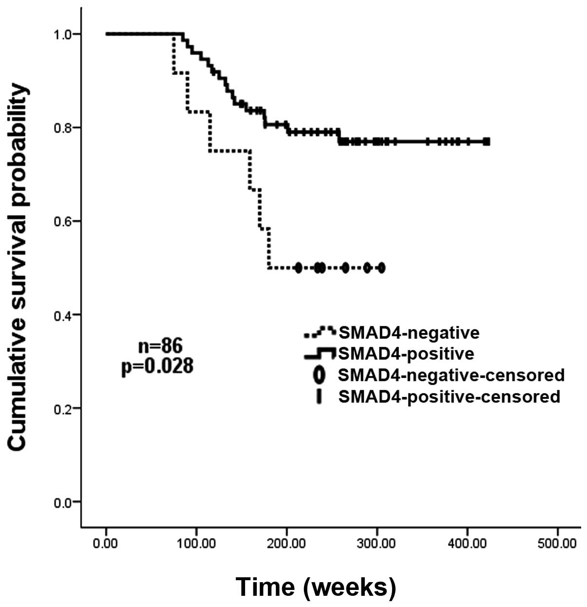 SMAD4 expression in breast ductal carcinoma correlates with prognosis