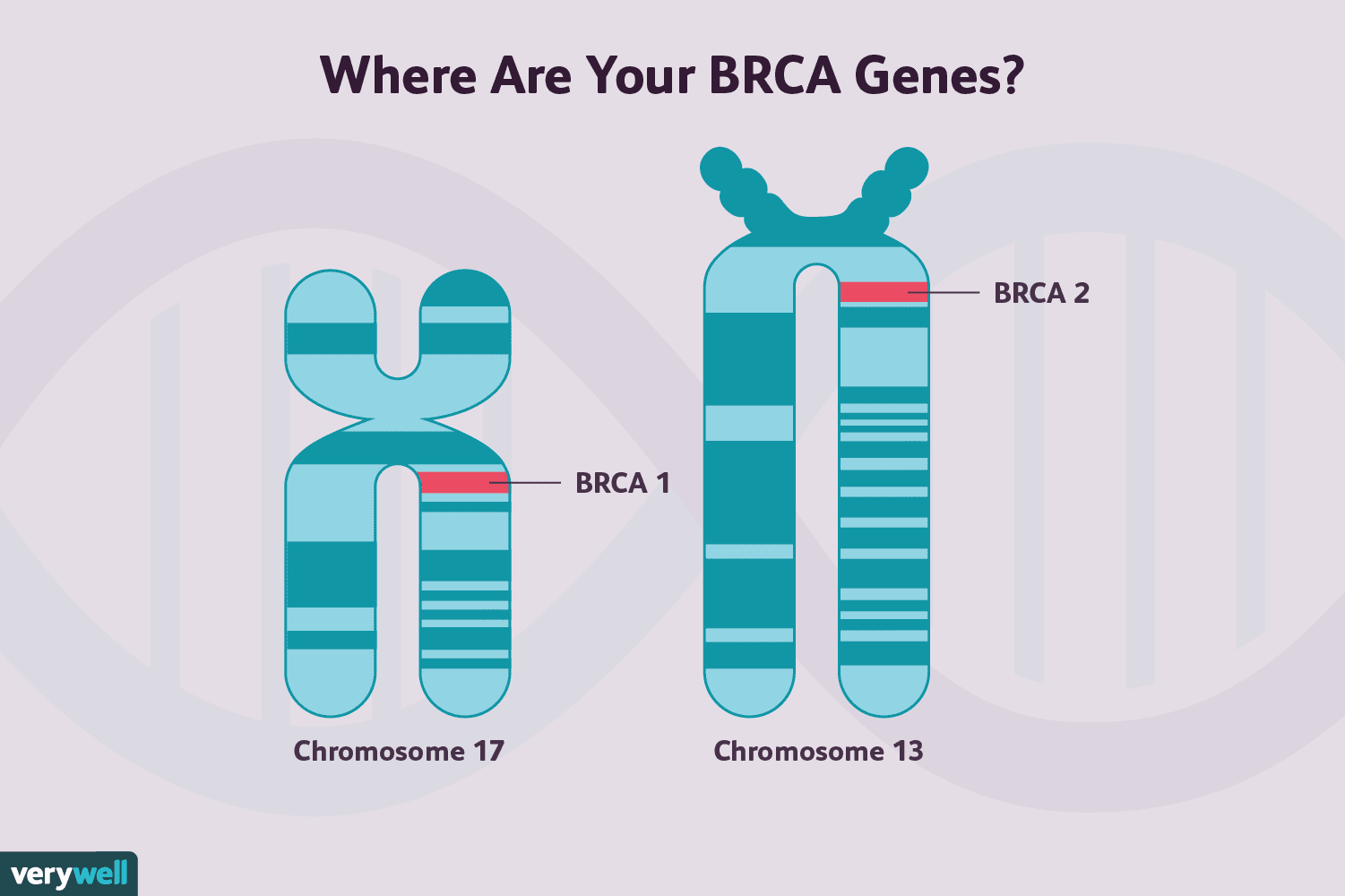 The Role of BRCA Mutations in Breast Cancer