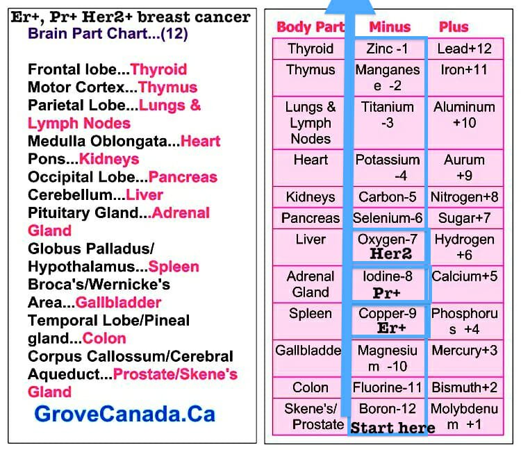 Triple Positive breast cancer(Er+, Pr+Her2+)â¦A start ...