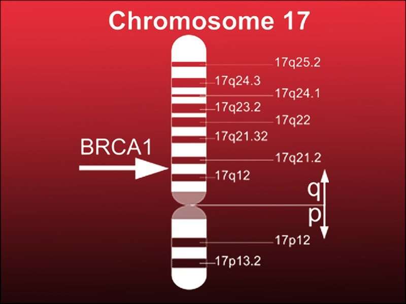 Universal BRCA Testing